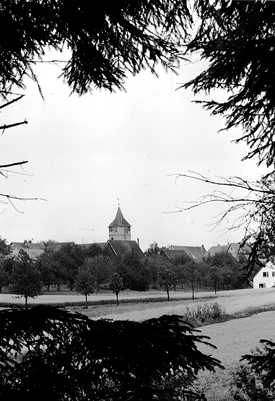 Blick auf Oberhaugstett durch den Wald
