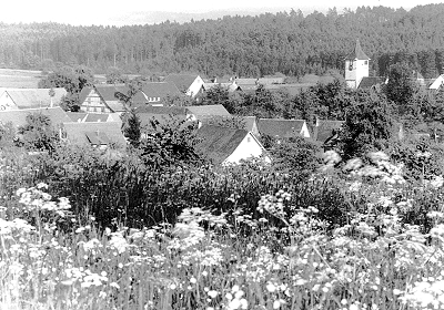 Blick vom Schleifberg auf Oberhaugstett